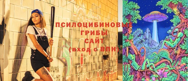 МДМА Бородино