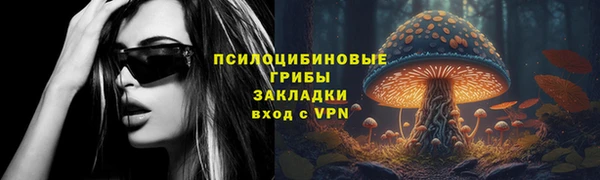 твердый Богородицк