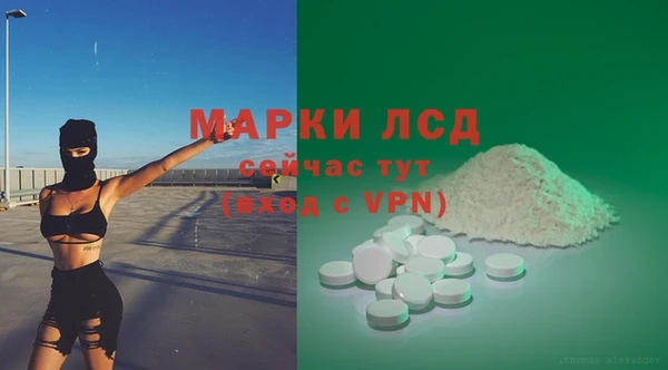 спайс Богданович