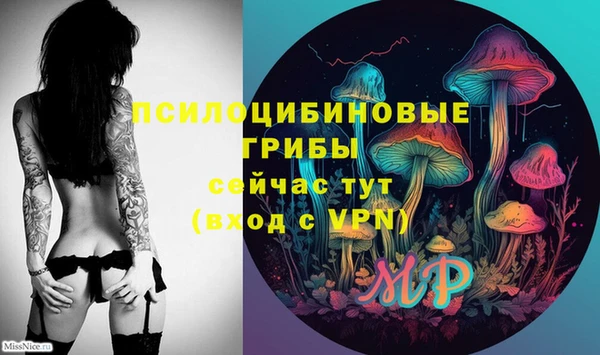 МДМА Бородино