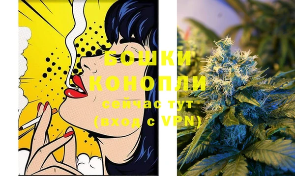 твердый Богородицк