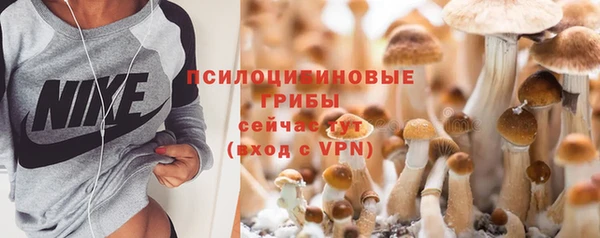 трава Бугульма