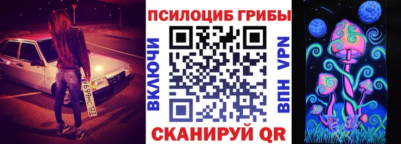 где продают наркотики  МЕГА ONION  Псилоцибиновые грибы Psilocybe  Михайлов 